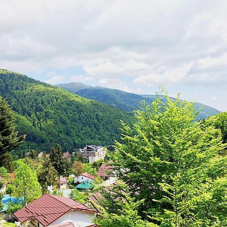 Casa Miu Villa Sinaia Bagian luar foto