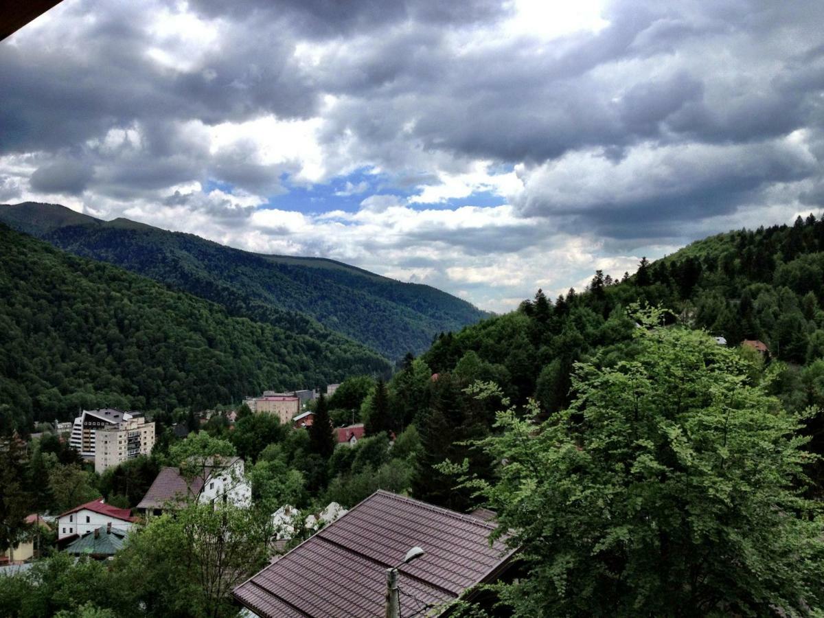 Casa Miu Villa Sinaia Bagian luar foto