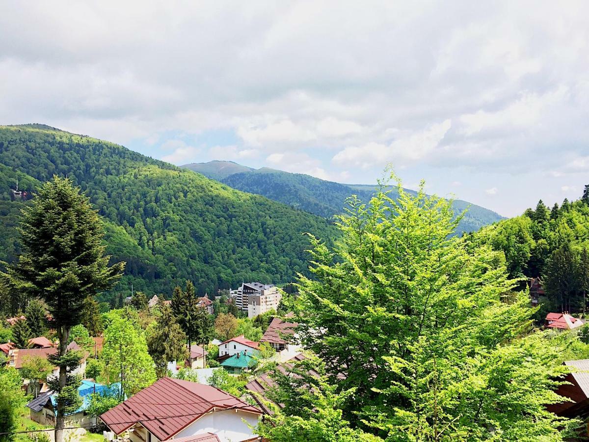 Casa Miu Villa Sinaia Bagian luar foto