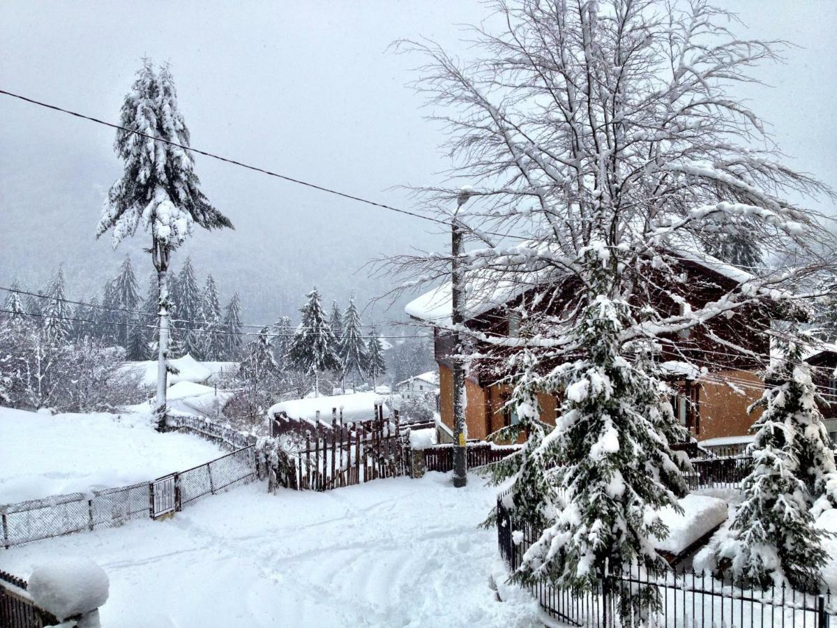 Casa Miu Villa Sinaia Bagian luar foto