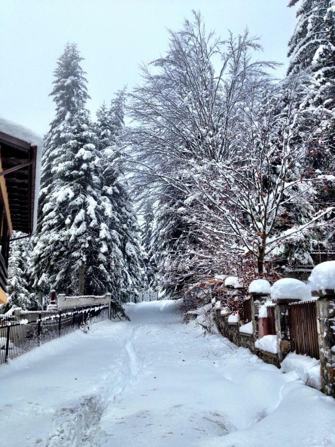 Casa Miu Villa Sinaia Bagian luar foto