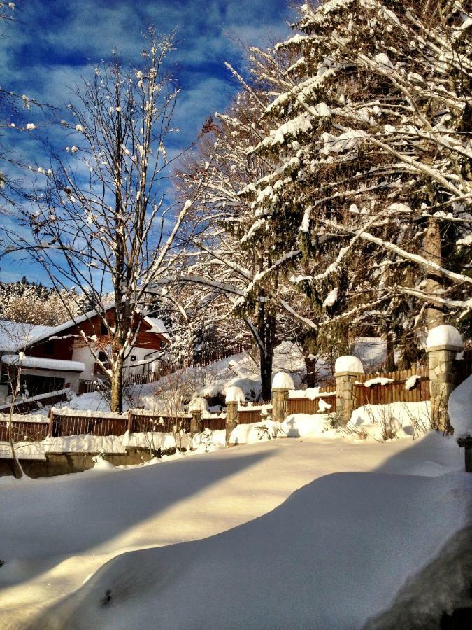 Casa Miu Villa Sinaia Bagian luar foto